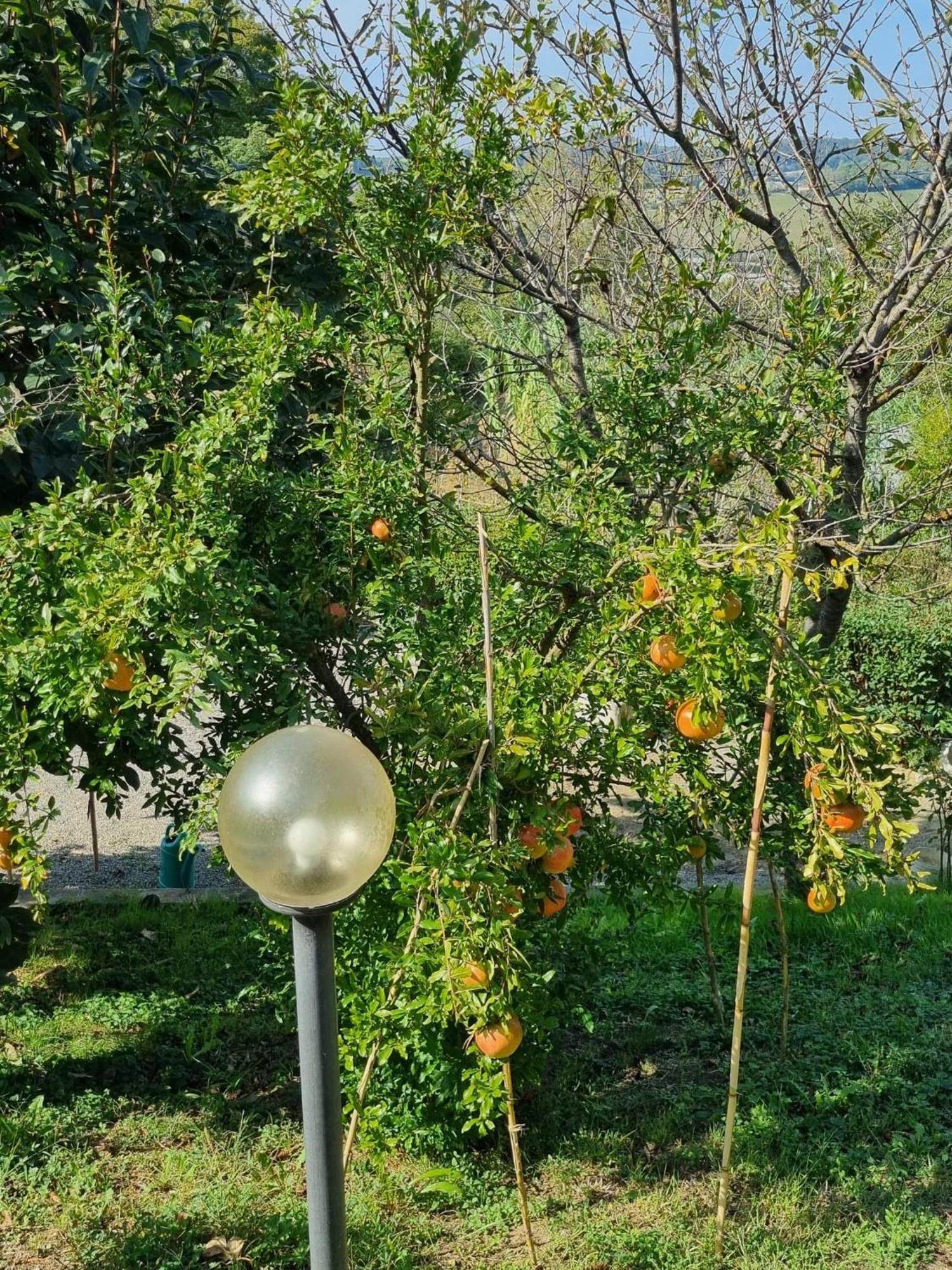 Casa Imola Appartement Poggibonsi Buitenkant foto